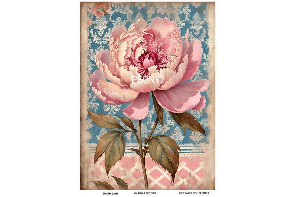 Lineart Pirinç Dekopaj Kağıdı 29*42 Şakayık PEONY2 Lineart Pirinç Dekopaj Kağıdı 29*42 Şakayık PEONY2