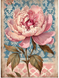 Lineart Pirinç Dekopaj Kağıdı 29*42 Şakayık PEONY2