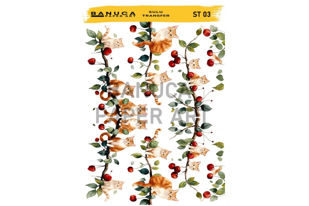 My Hobby Sulu Transfer Banuca St 03