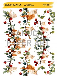 My Hobby Sulu Transfer Banuca St 03