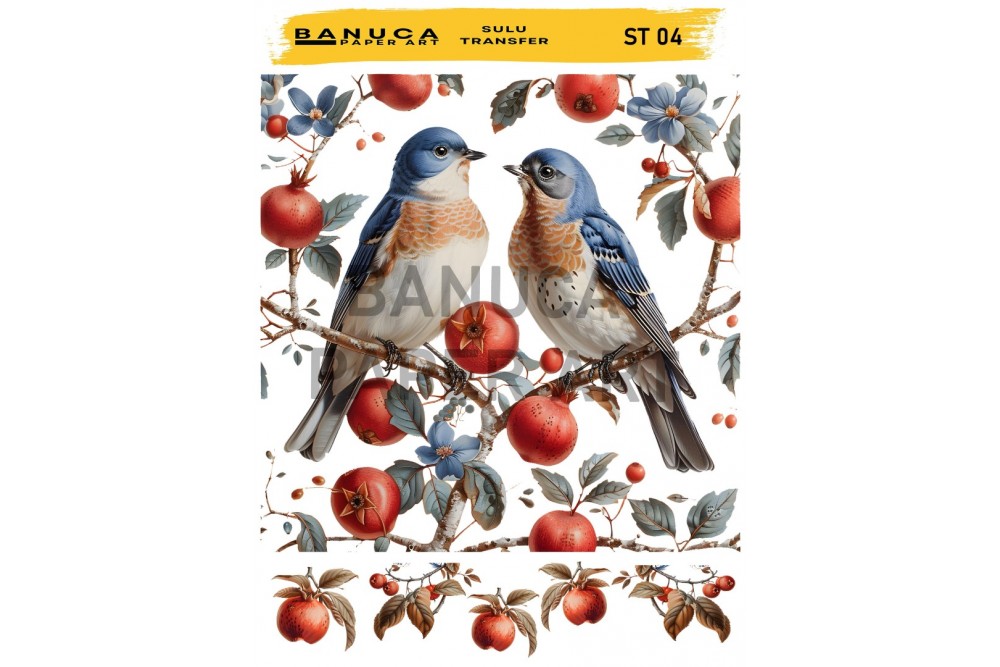 My Hobby Sulu Transfer Banuca St 04