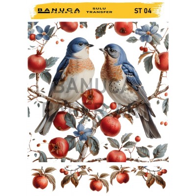 My Hobby Sulu Transfer Banuca St 04