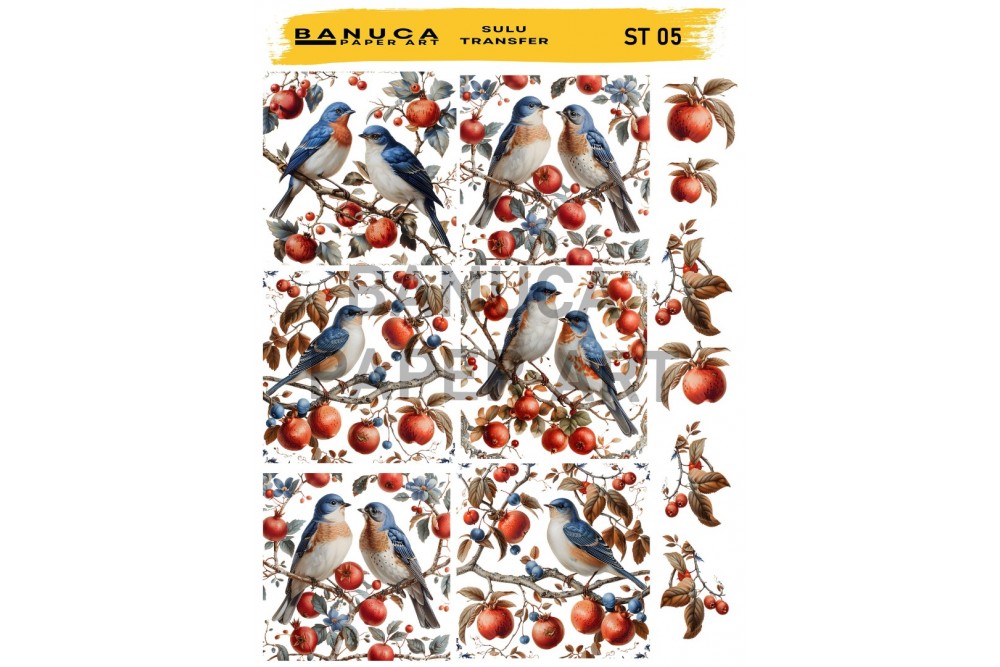 My Hobby Sulu Transfer Banuca St 05