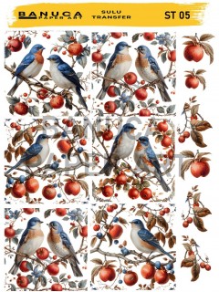 My Hobby Sulu Transfer Banuca St 05