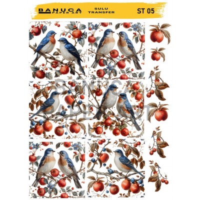 My Hobby Sulu Transfer Banuca St 05