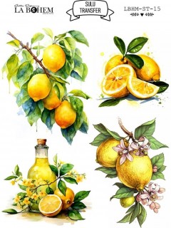 My Hobby Sulu Transfer Labohem Lbhm-St-15