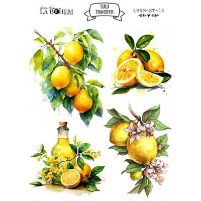 My Hobby Sulu Transfer Labohem Lbhm-St-15