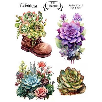 My Hobby Sulu Transfer Labohem Lbhm-St-19